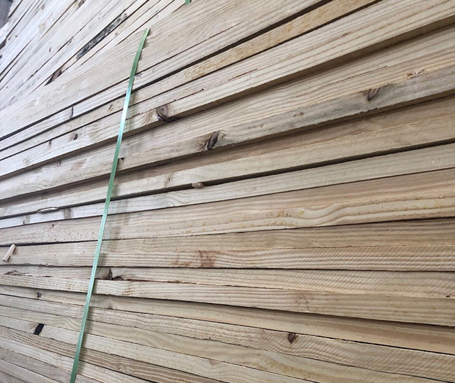 红岗巴西松